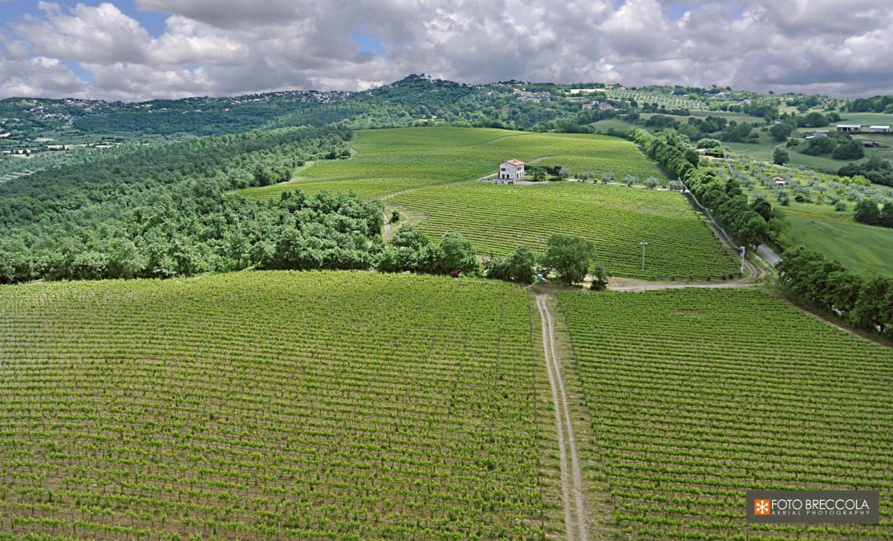 Agriturismo Vigna Sul Lago Montefiascone Exterior foto