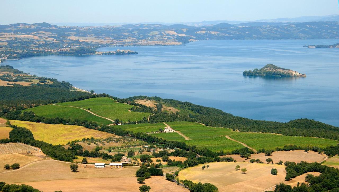 Agriturismo Vigna Sul Lago Montefiascone Exterior foto